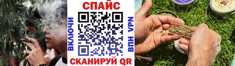 MEGA ссылки  Струнино  Бутират BDO 