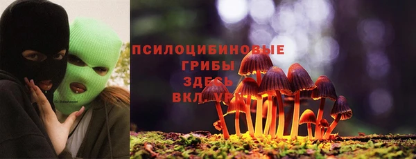 стаф Абаза