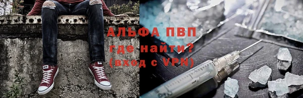 стаф Абаза