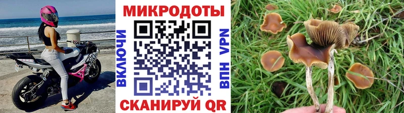 Псилоцибиновые грибы мицелий  купить наркотики сайты  Струнино 